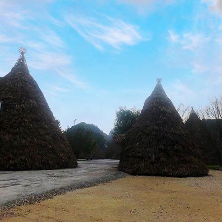 Truong Son Luxury Homestay ニンビン エクステリア 写真